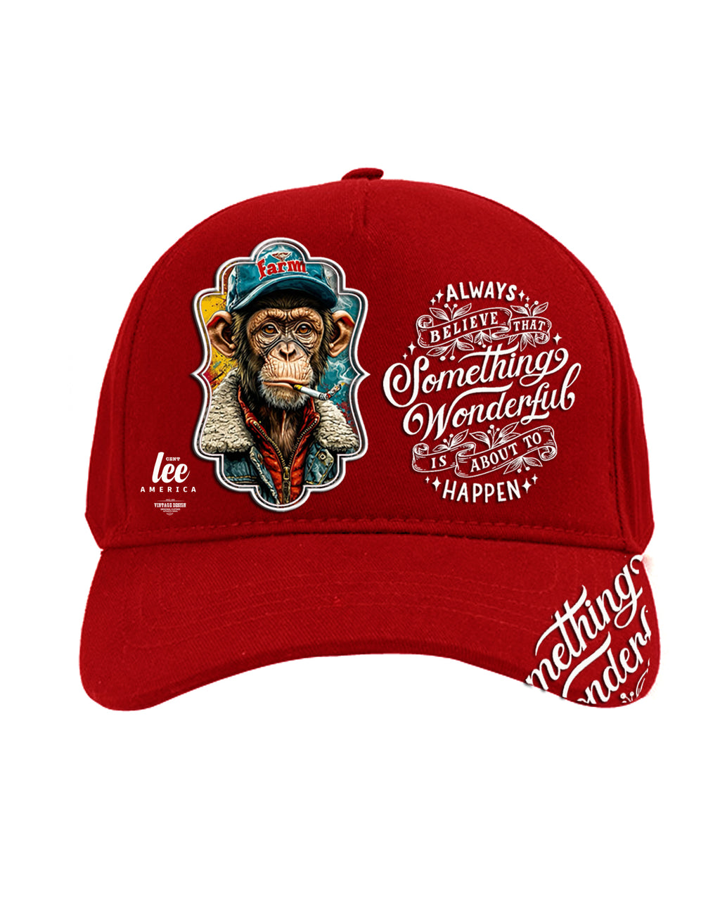 Hip Hop Rap şapka spor  canvas kumaş erkek bayan  ayarlanabilir  Singer Extreme