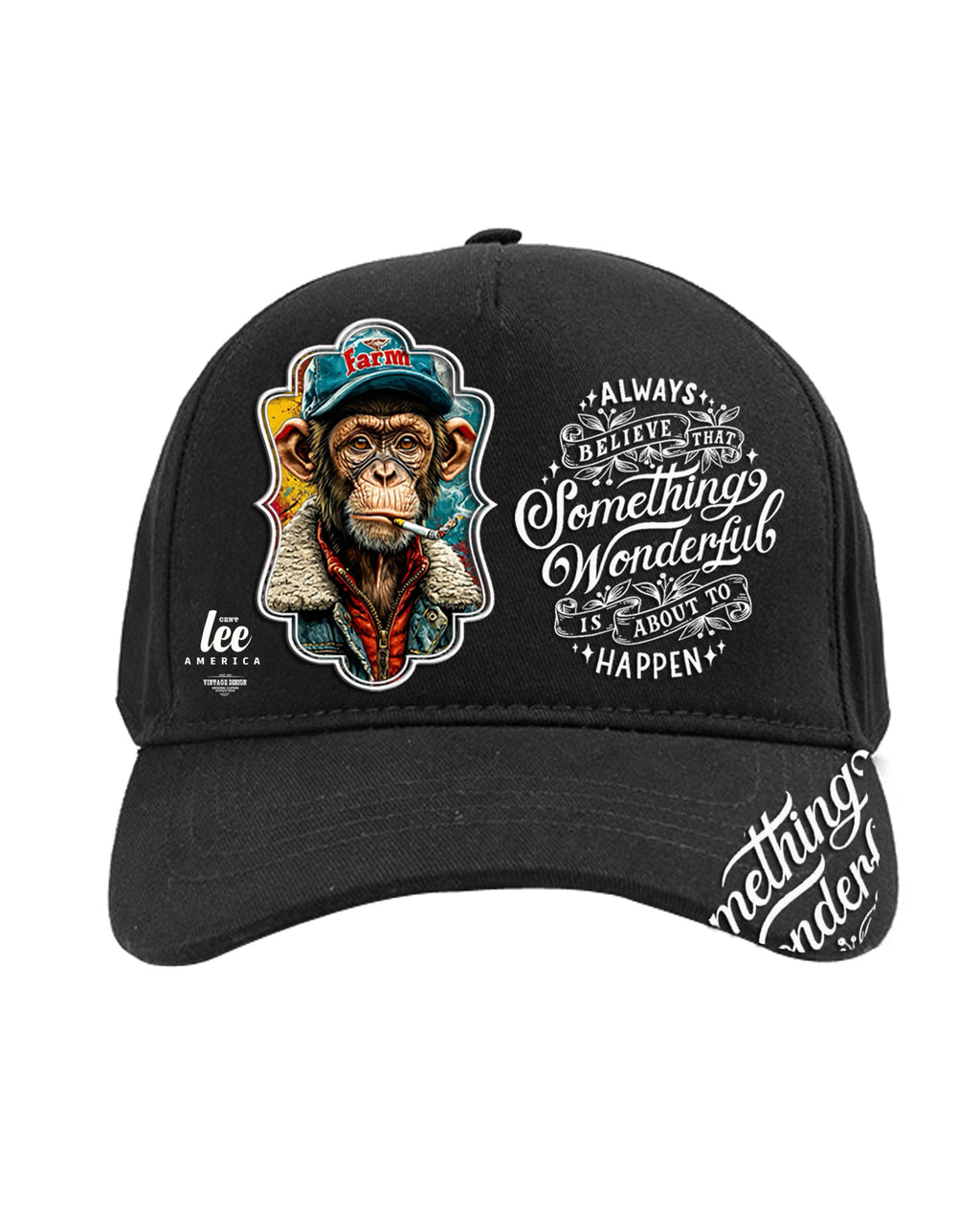 Hip Hop Rap şapka spor  canvas kumaş erkek bayan  ayarlanabilir  Singer Extreme