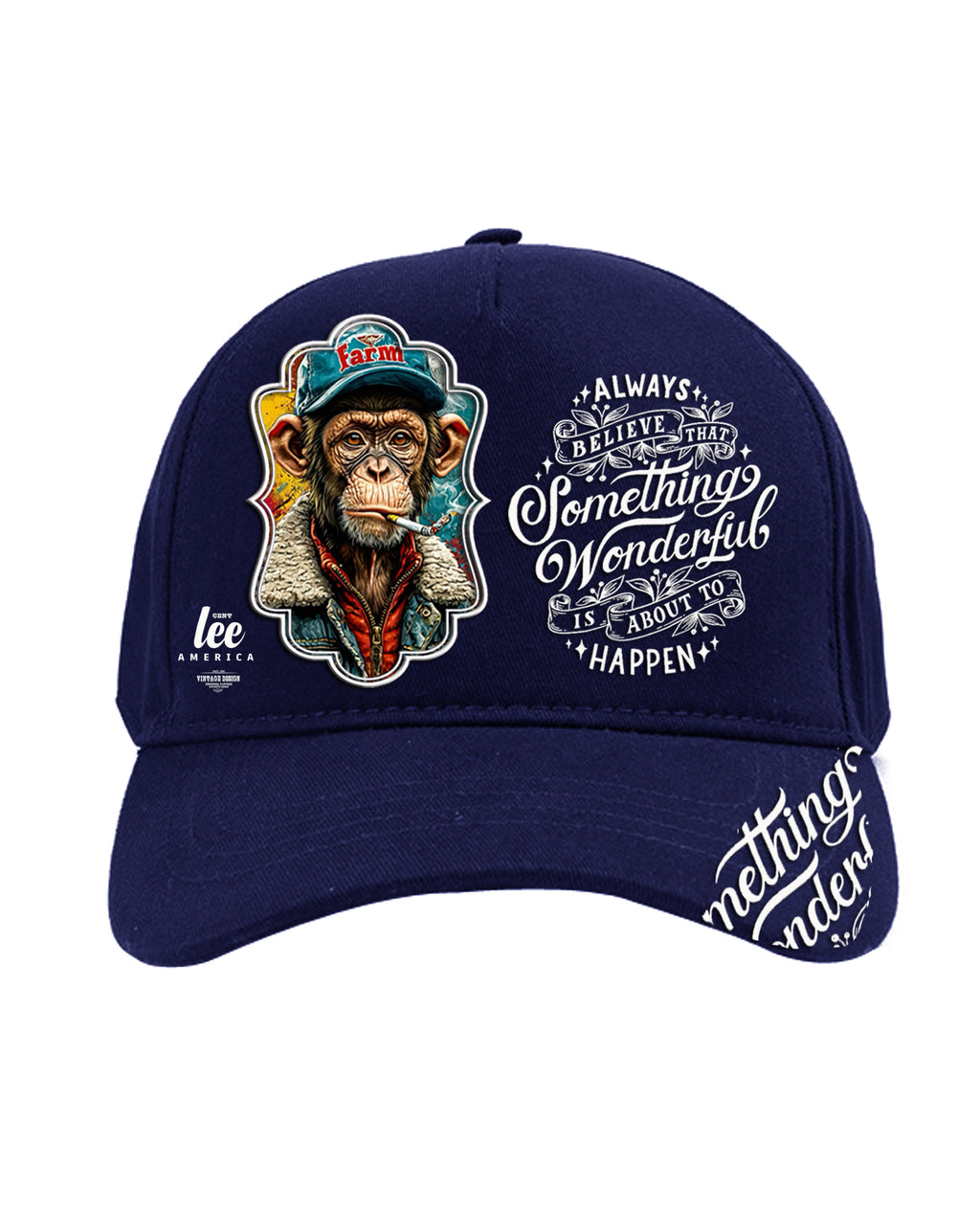 Hip Hop Rap şapka spor  canvas kumaş erkek bayan  ayarlanabilir  Singer Extreme